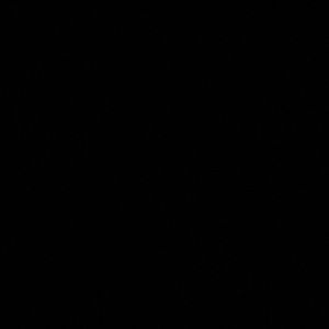 Meet your Posher, Charles